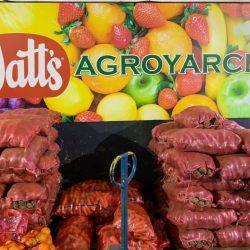 WhatsApp Image 2025-11-17 at 15.19.02 (1)