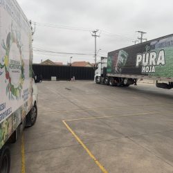 WhatsApp Image 2025-11-17 at 15.20.08