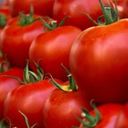 WhatsApp Image 2025-11-17 at 15.21.17